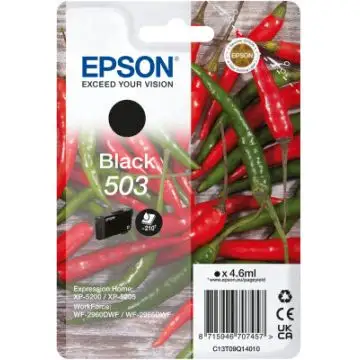 Epson 503 cartuccia d'inchiostro 1 pz Originale Resa standard Nero , 144621