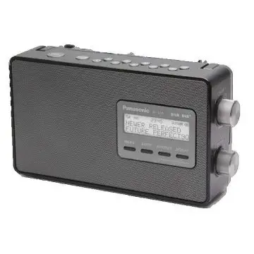 Panasonic RF-D10 Personale Digitale Nero , 119515
