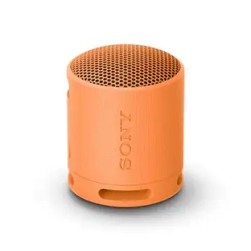 Sony SRS-XB100 - Speaker Wireless Bluetooth, portatile, leggero, compatto, da esterno, da viaggio, resistente IP67 impermeabile e antipolvere, batteria da 16 ore, cinturino versatile, chiama , 149970