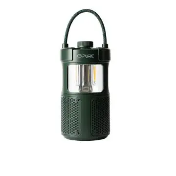 Pure 252584 altoparlante portatile e per feste Verde 20 W , 154101