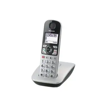 Panasonic KX-TGE510JTS telefono Telefono DECT Identificatore di chiamata Argento , 116344
