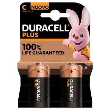 Duracell Plus 100 C B2 x10 , 140134